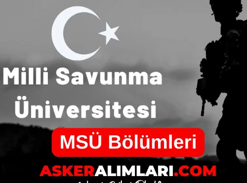 MSÜ Bölümleri